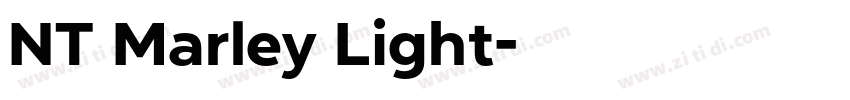 NT Marley Light字体转换